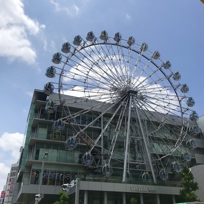 🎡 선샤인 사카에